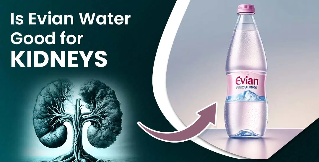 Is Evian Water Good for Your Kidneys?